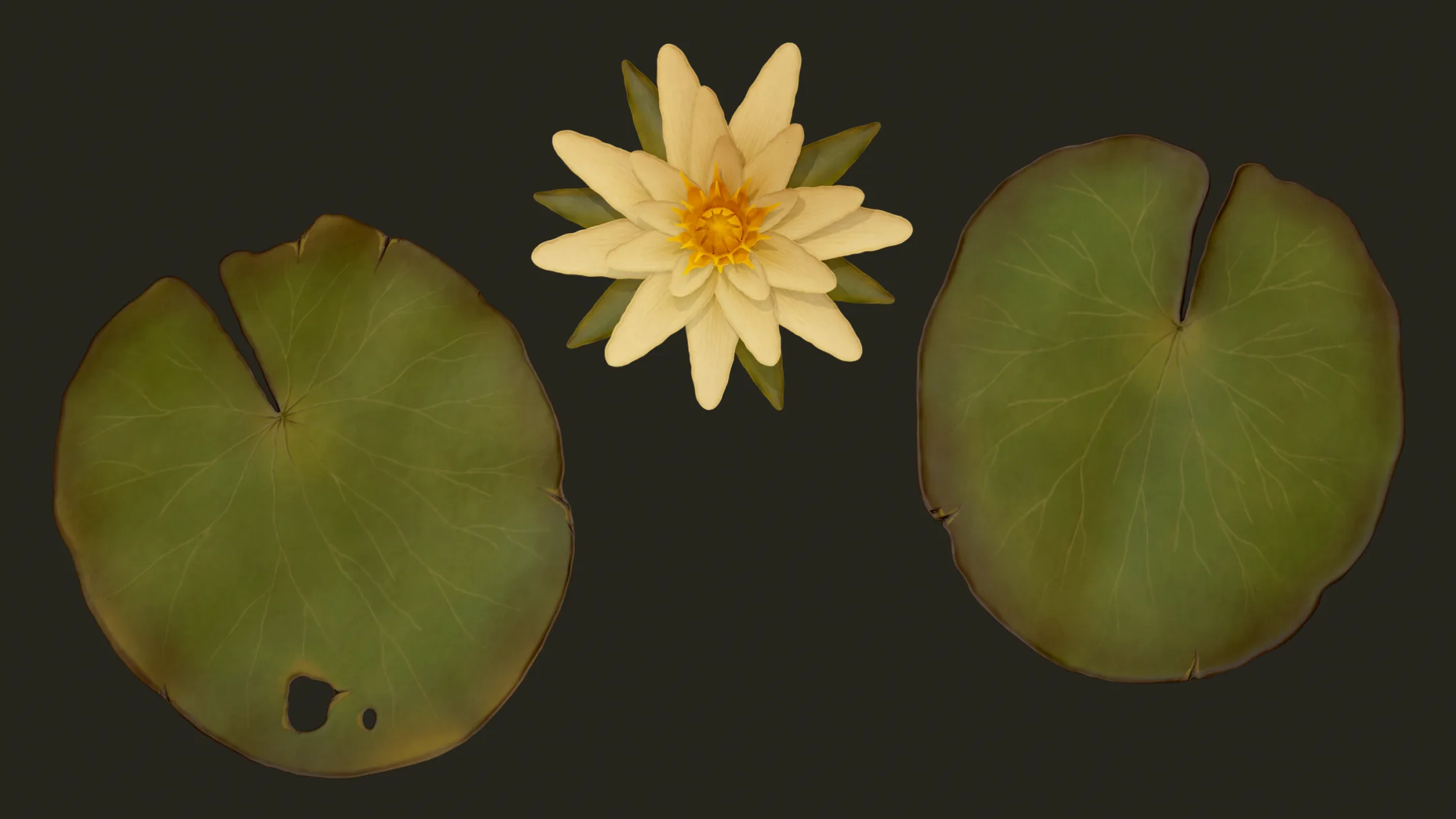 Water Lilies - PBR Game Ready