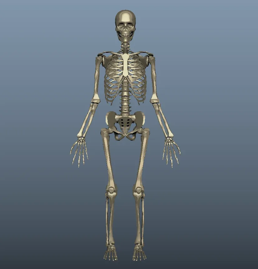 Skeleton Rig 2.0.0 for Maya