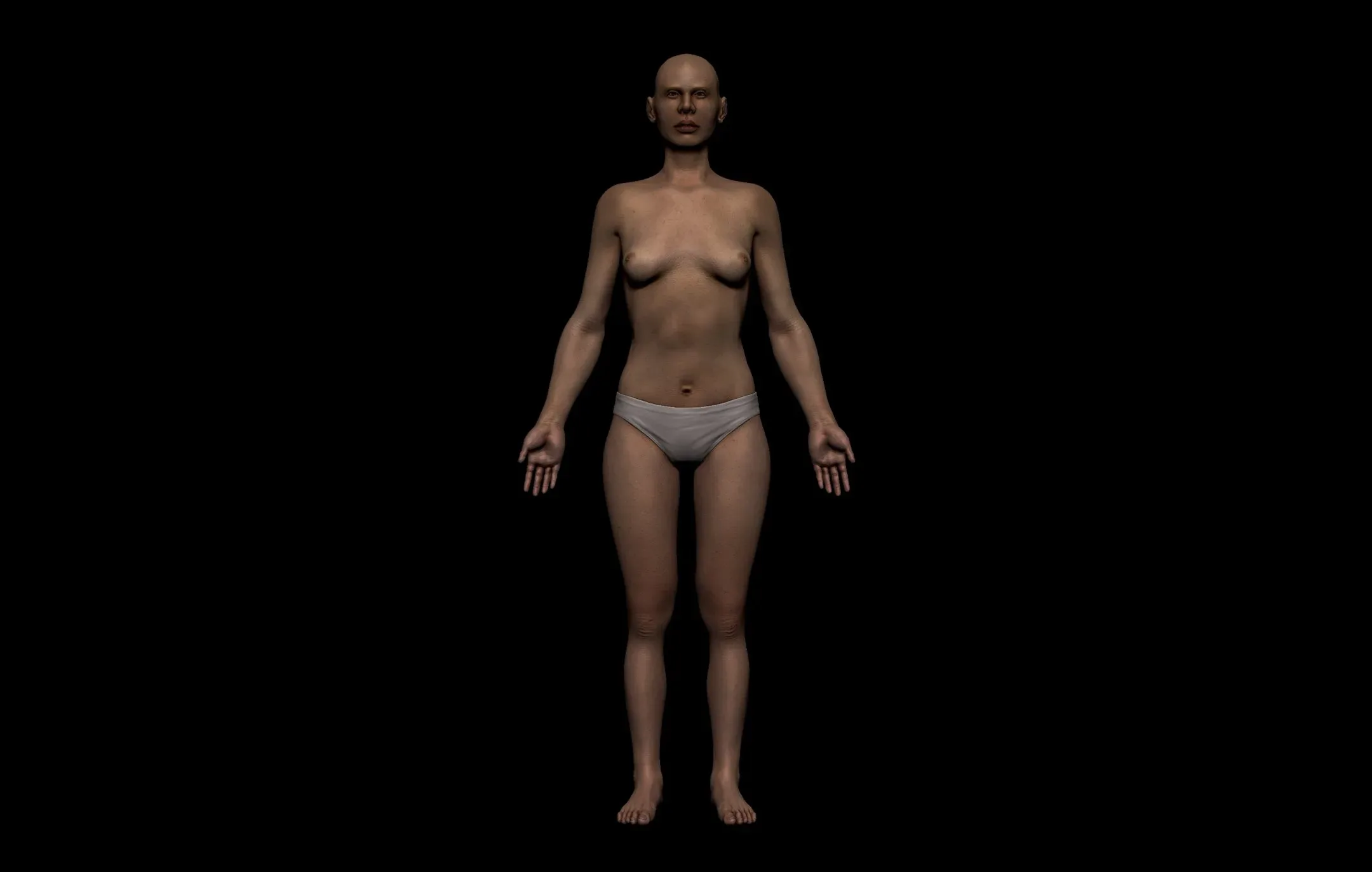 Female Anatomy Figure