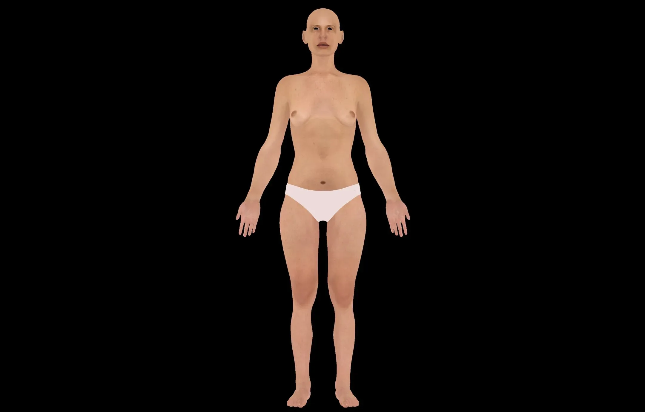 Female Anatomy Figure