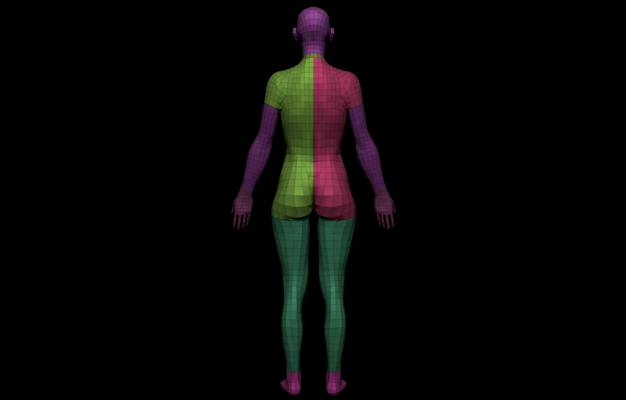 Female Anatomy Figure