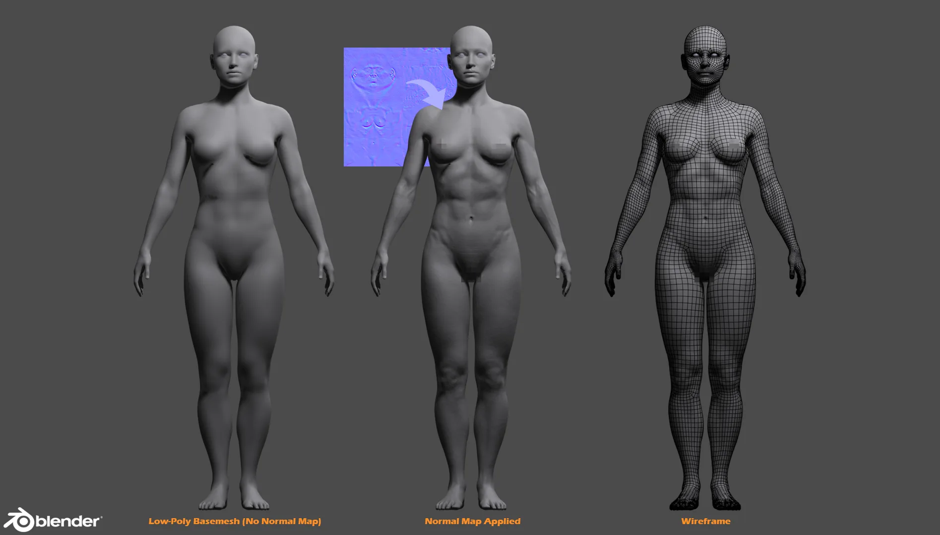 Female Custom Basemesh Lowpoly for Blender