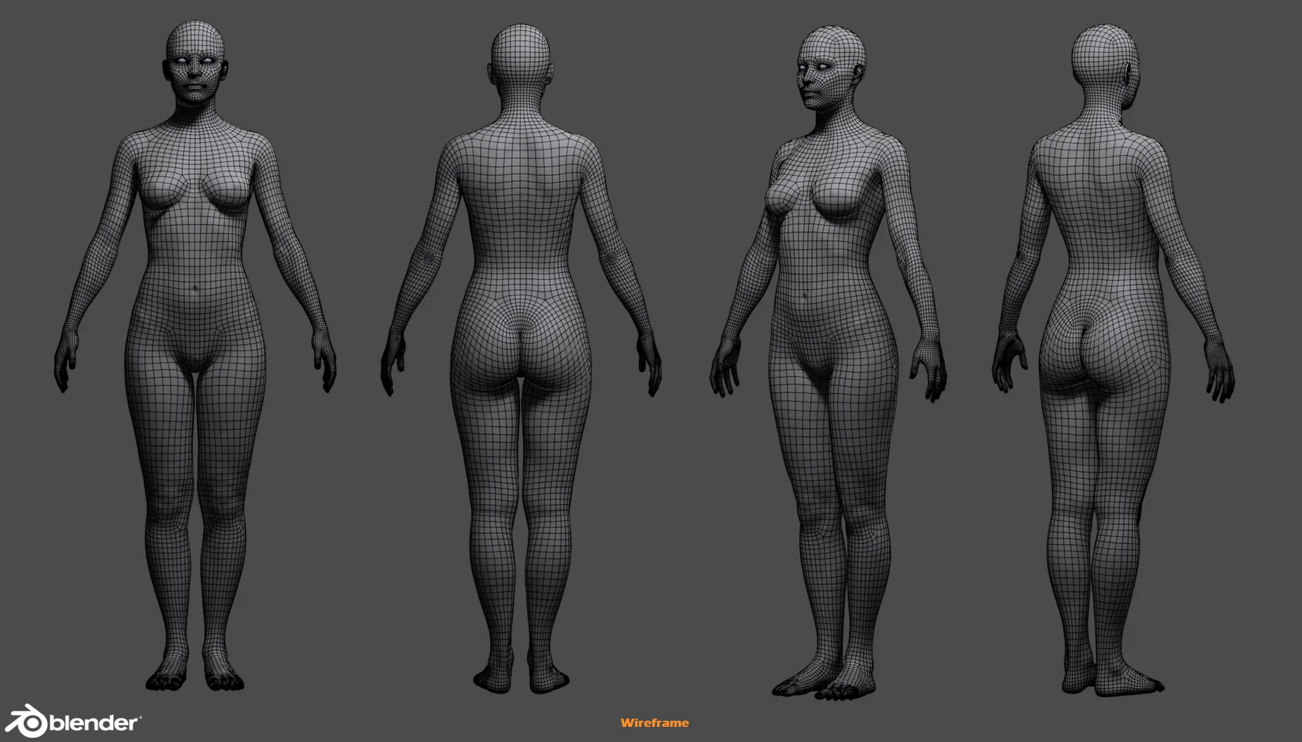 Female Custom Basemesh Lowpoly for Blender