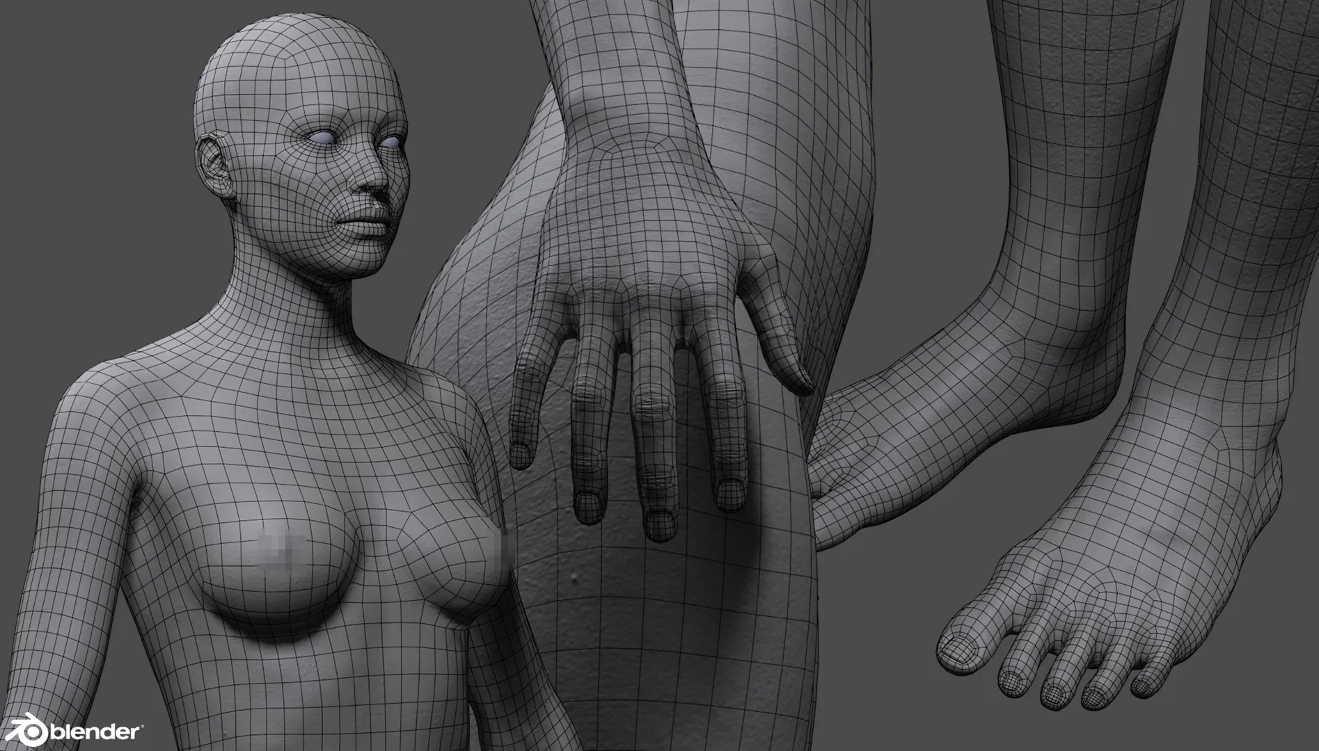 Female Custom Basemesh Lowpoly for Blender