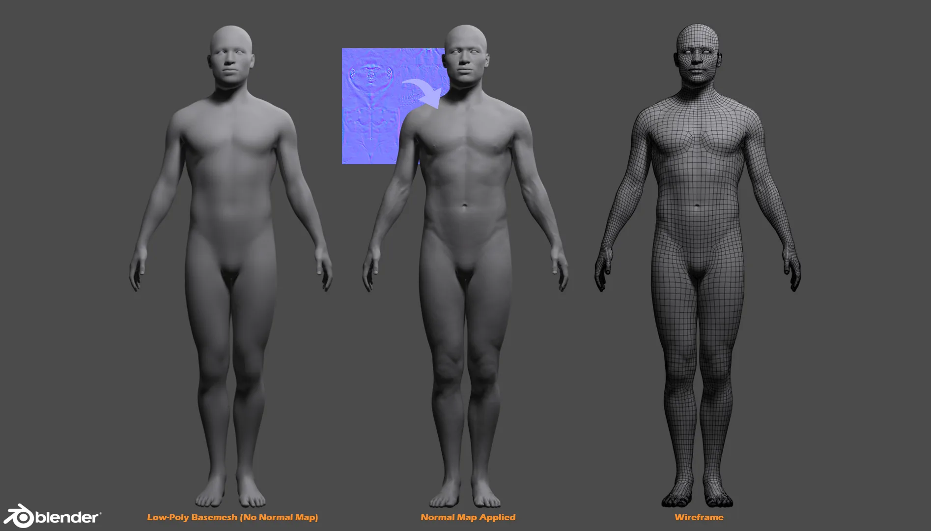 Male Custom Basemesh Lowpoly For Blender