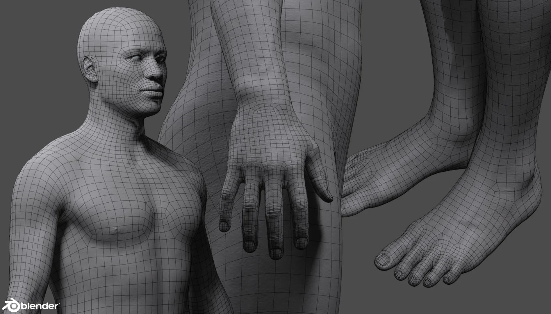 Male Custom Basemesh Lowpoly For Blender