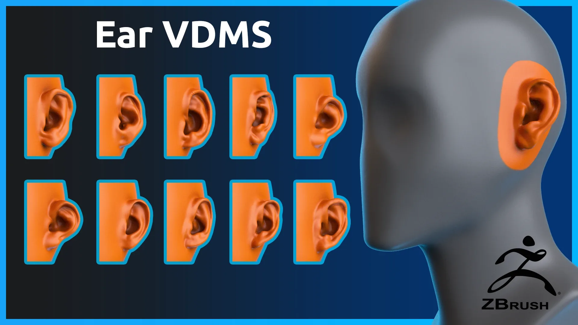 ZBrush Ear - VDM Brushes