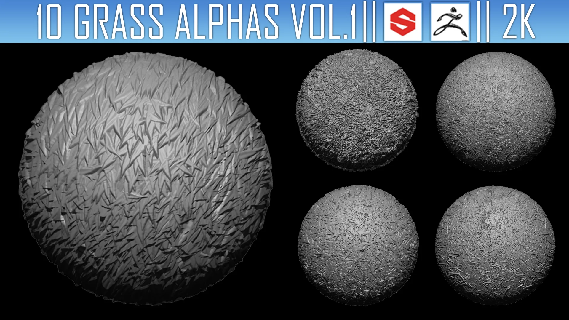 10 Grass Alphas Vol.1 (ZBrush, Substance, 2K)