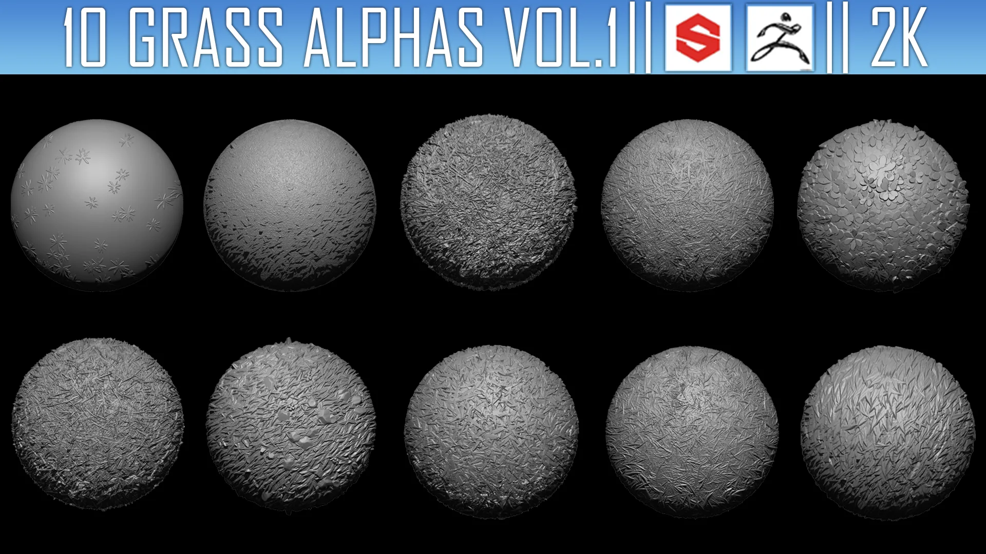 10 Grass Alphas Vol.1 (ZBrush, Substance, 2K)