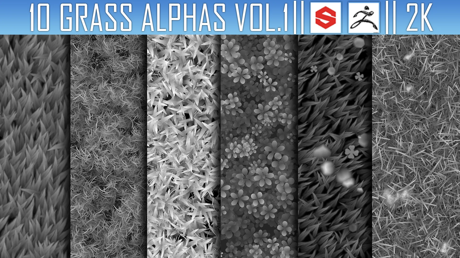 10 Grass Alphas Vol.1 (ZBrush, Substance, 2K)