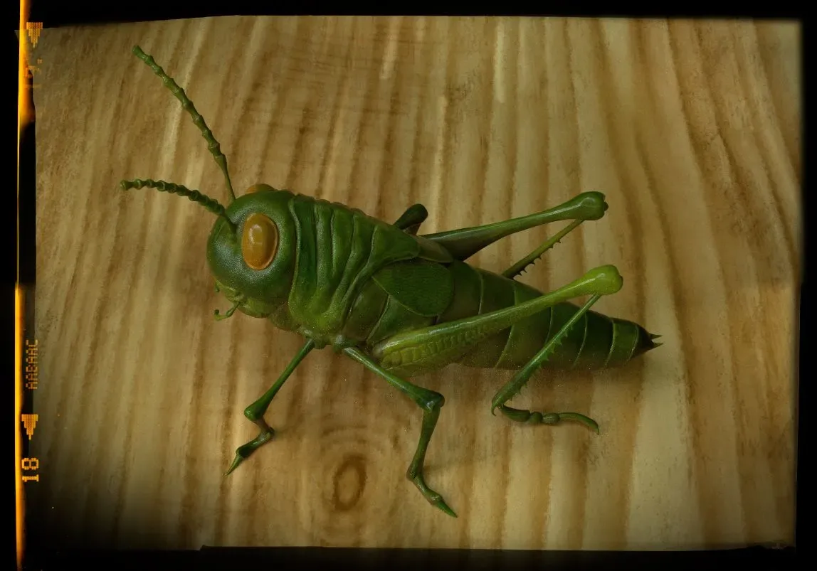 Grasshopper Tutorial - ZBrush & Substance Painter