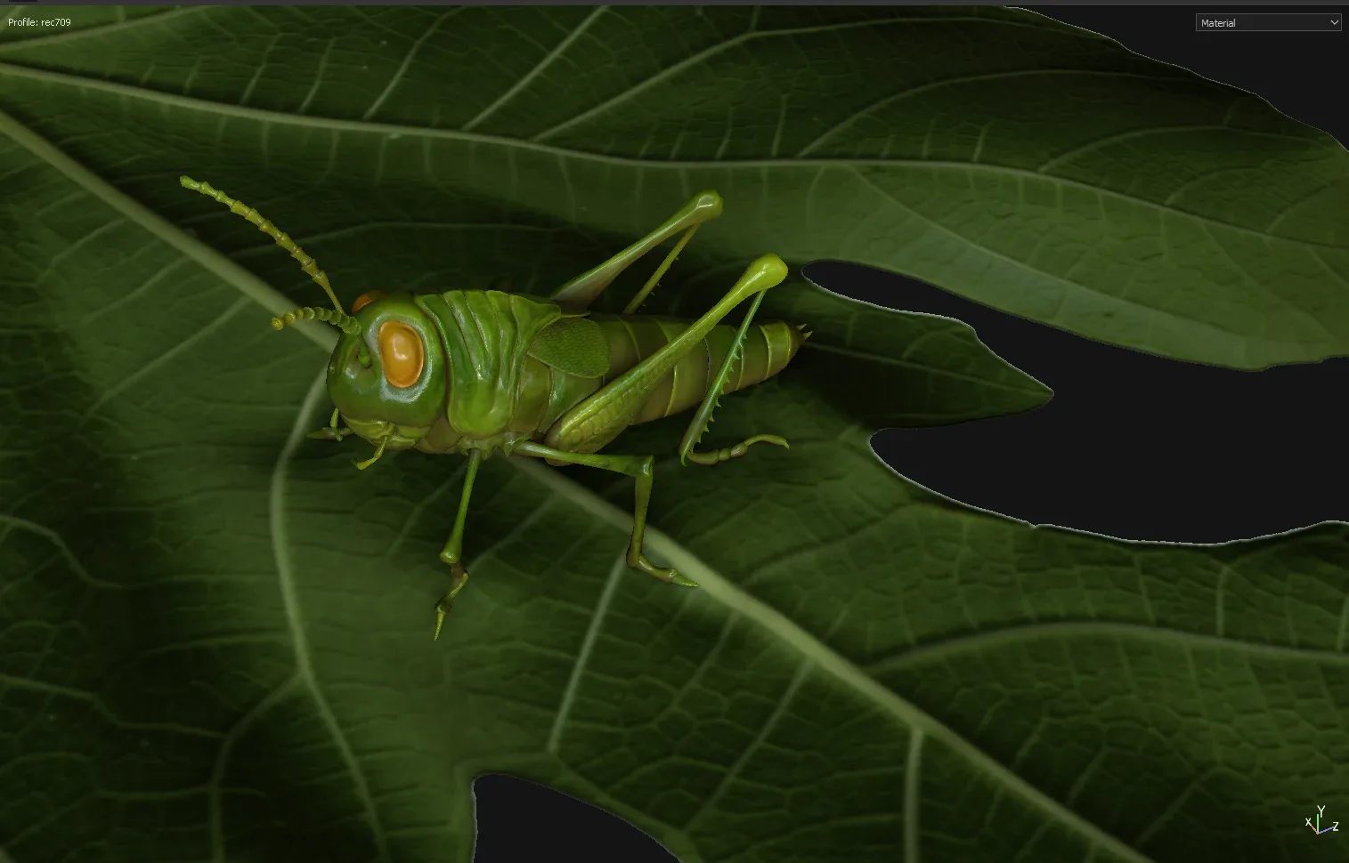 Grasshopper Tutorial - ZBrush & Substance Painter