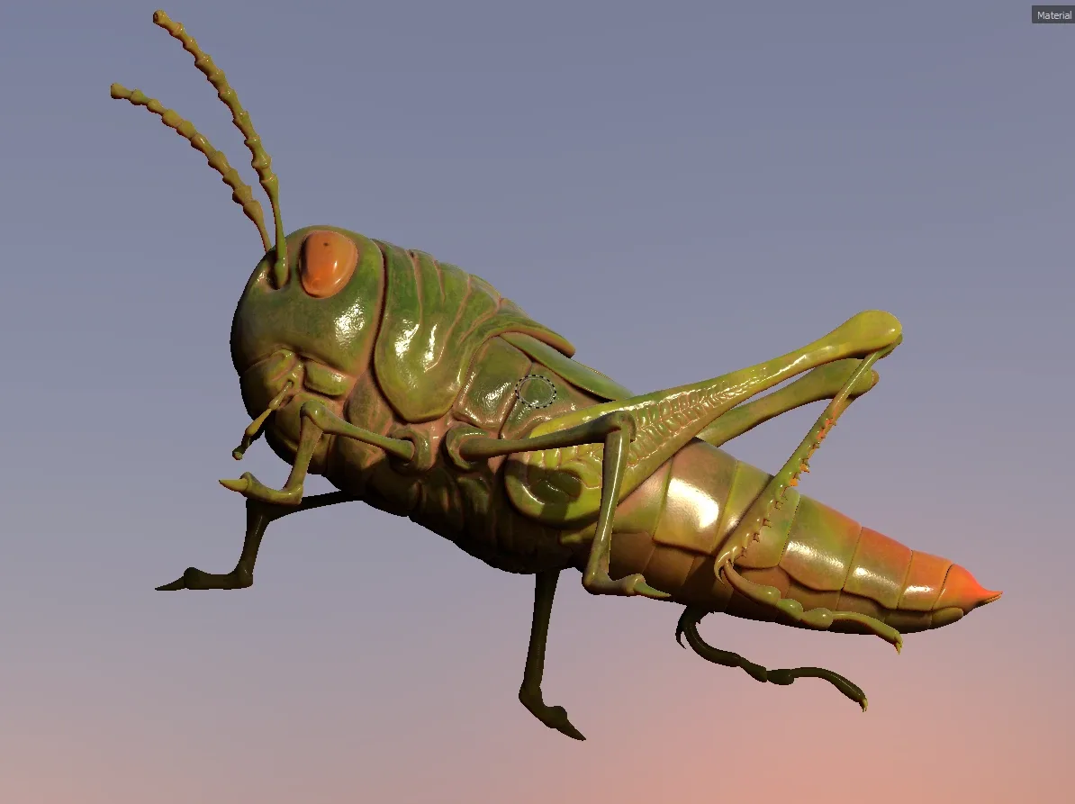 Grasshopper Tutorial - ZBrush & Substance Painter