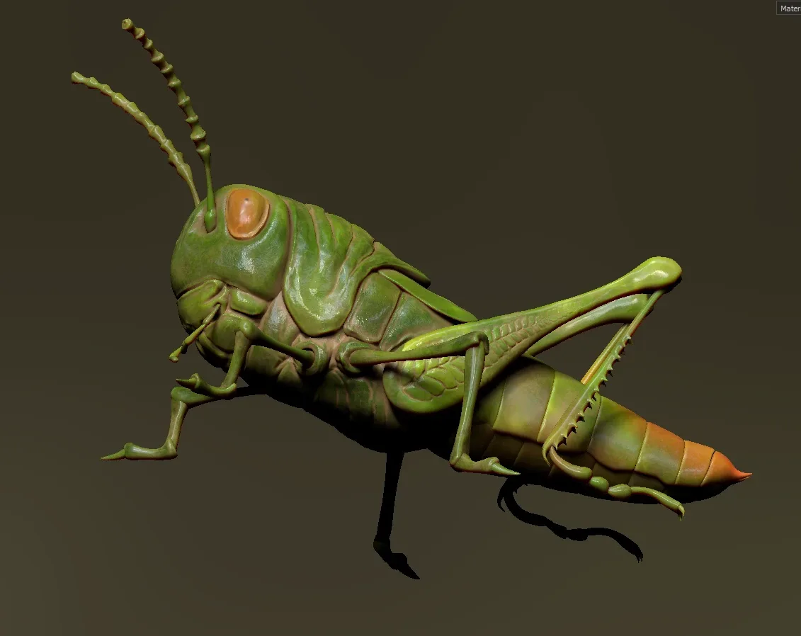 Grasshopper Tutorial - ZBrush & Substance Painter