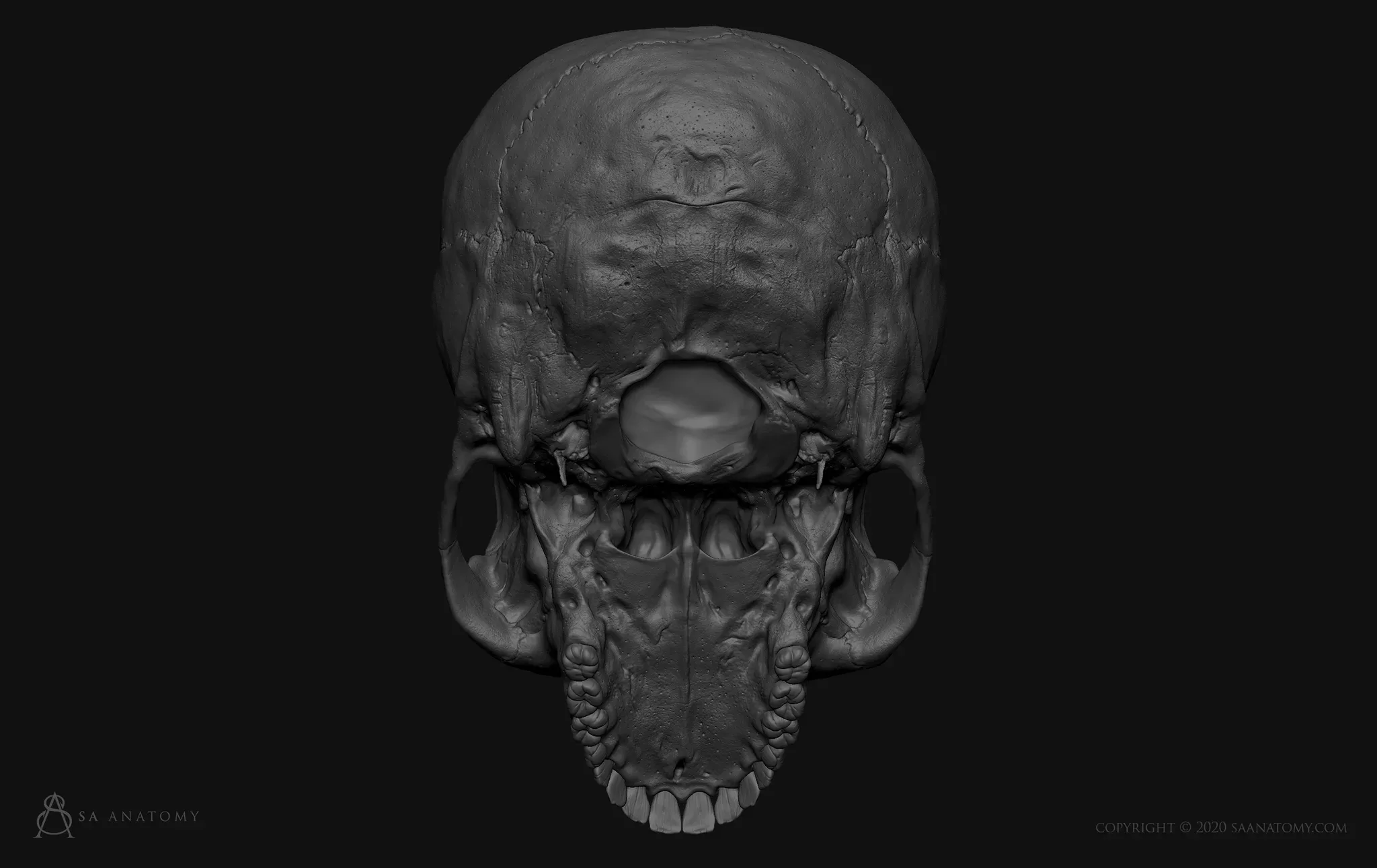 HD Female Skull