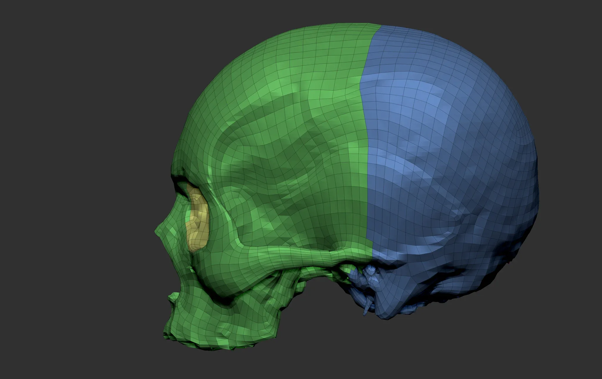 HD Male Skull