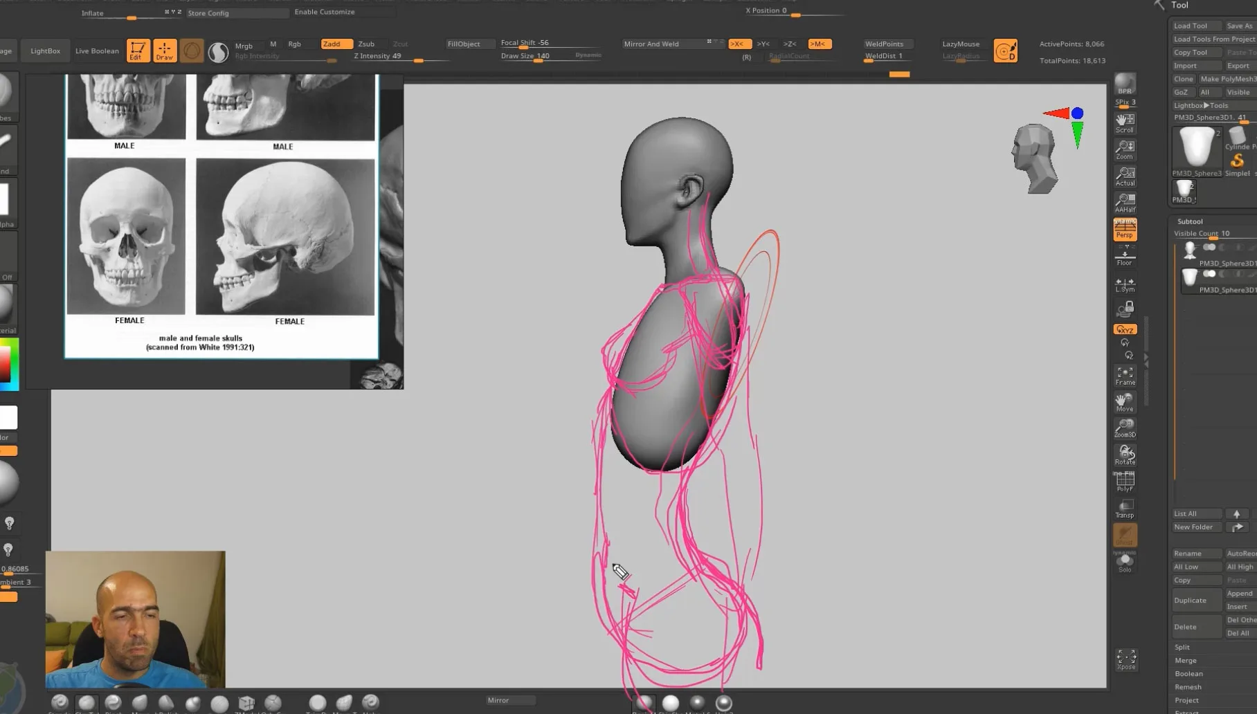 Female Anatomy for Artists Tutorial