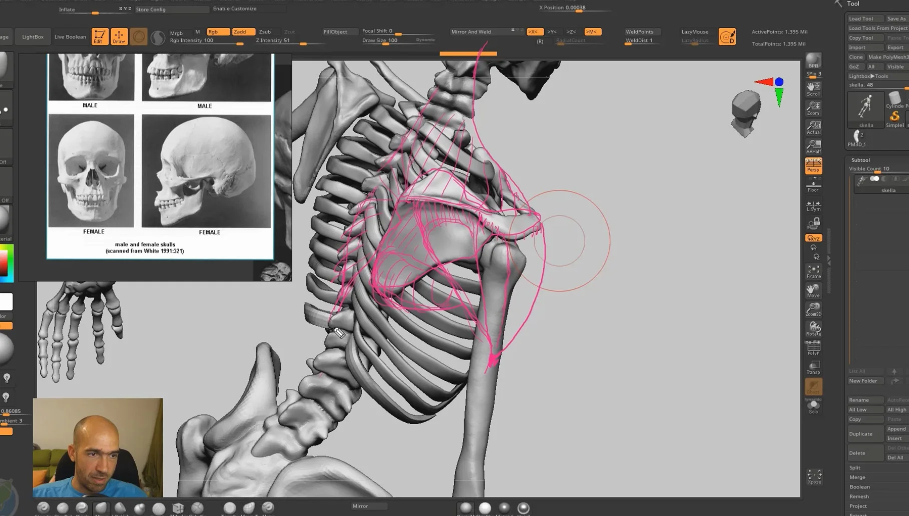 Female Anatomy for Artists Tutorial