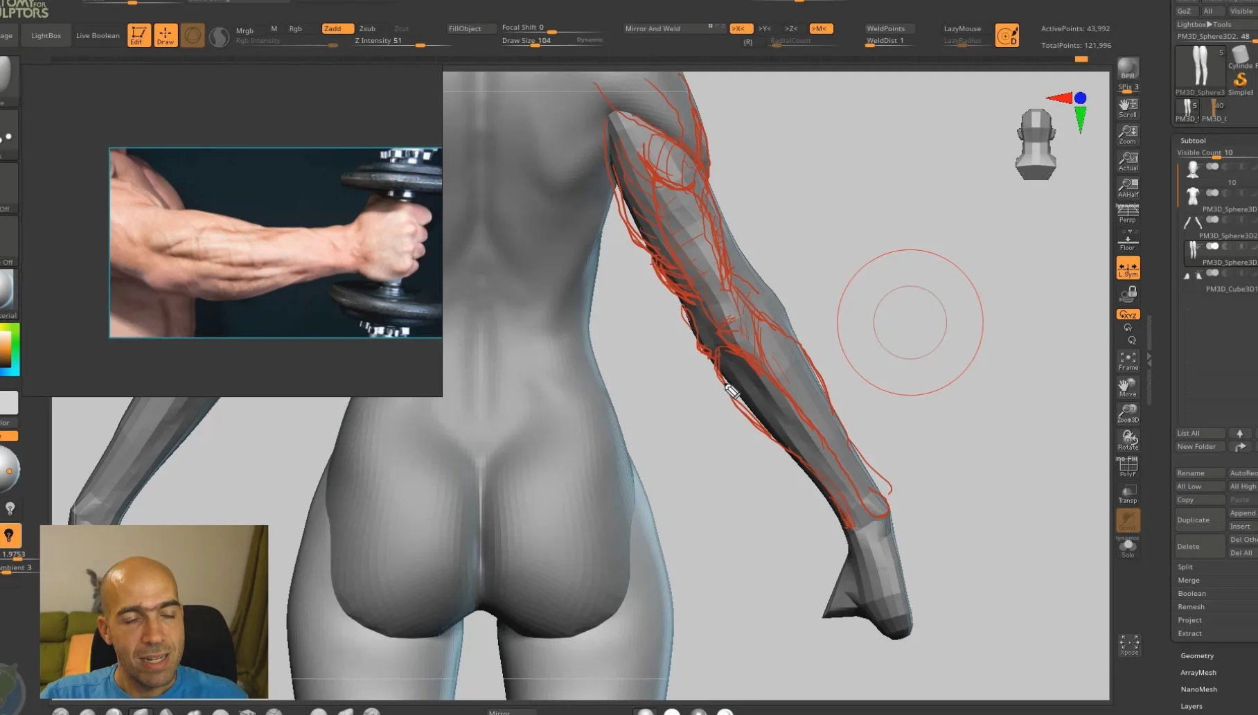 Female Anatomy for Artists Tutorial