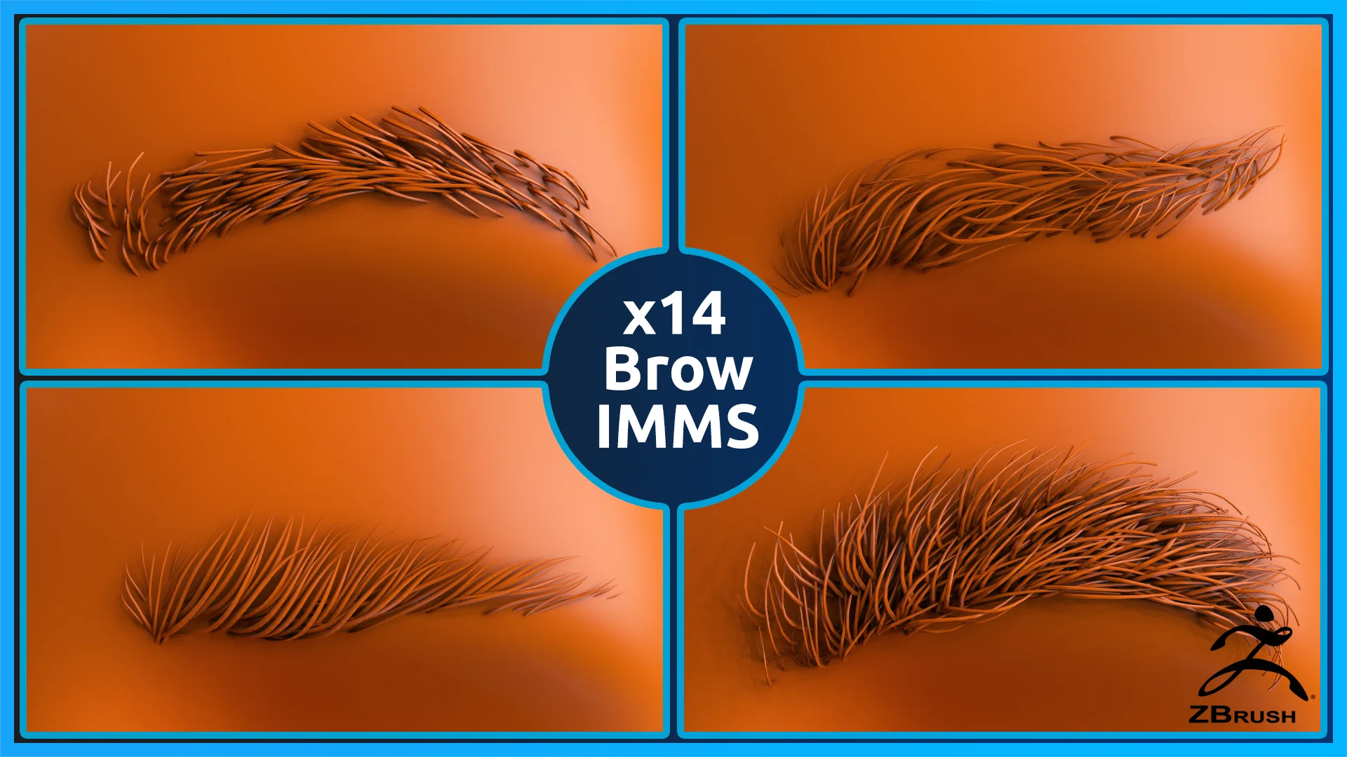 14 ZBrush Eyebrow IMMS