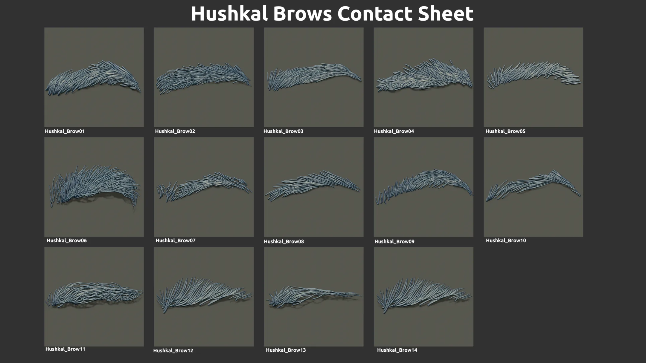 14 ZBrush Eyebrow IMMS