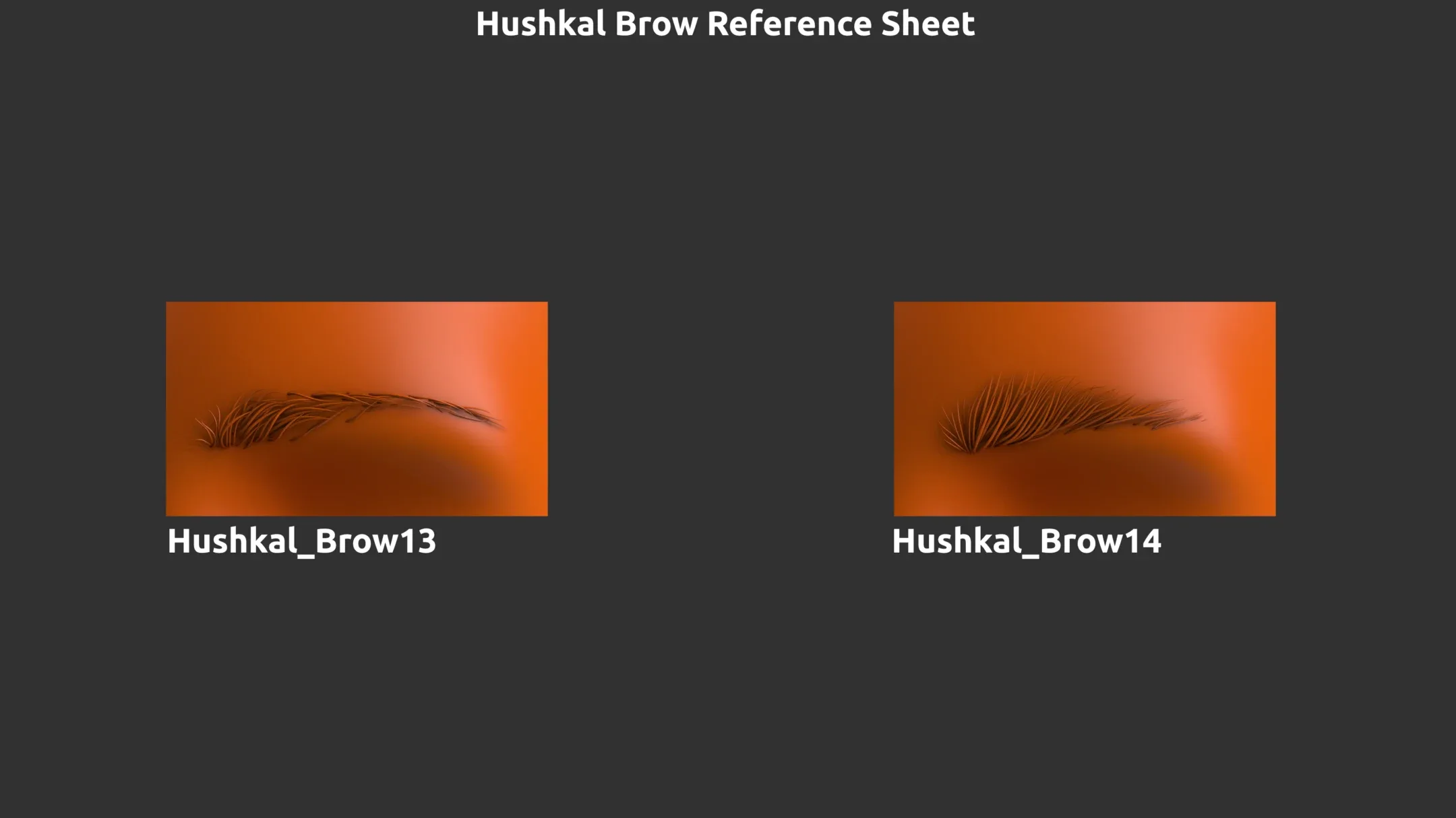 14 ZBrush Eyebrow IMMS