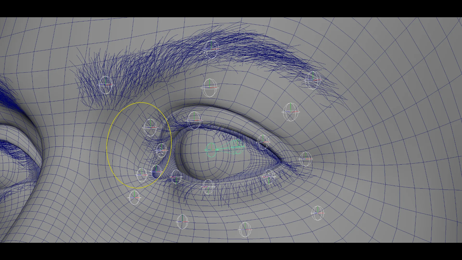 Photorealistic Eye Package + Rig + Animation