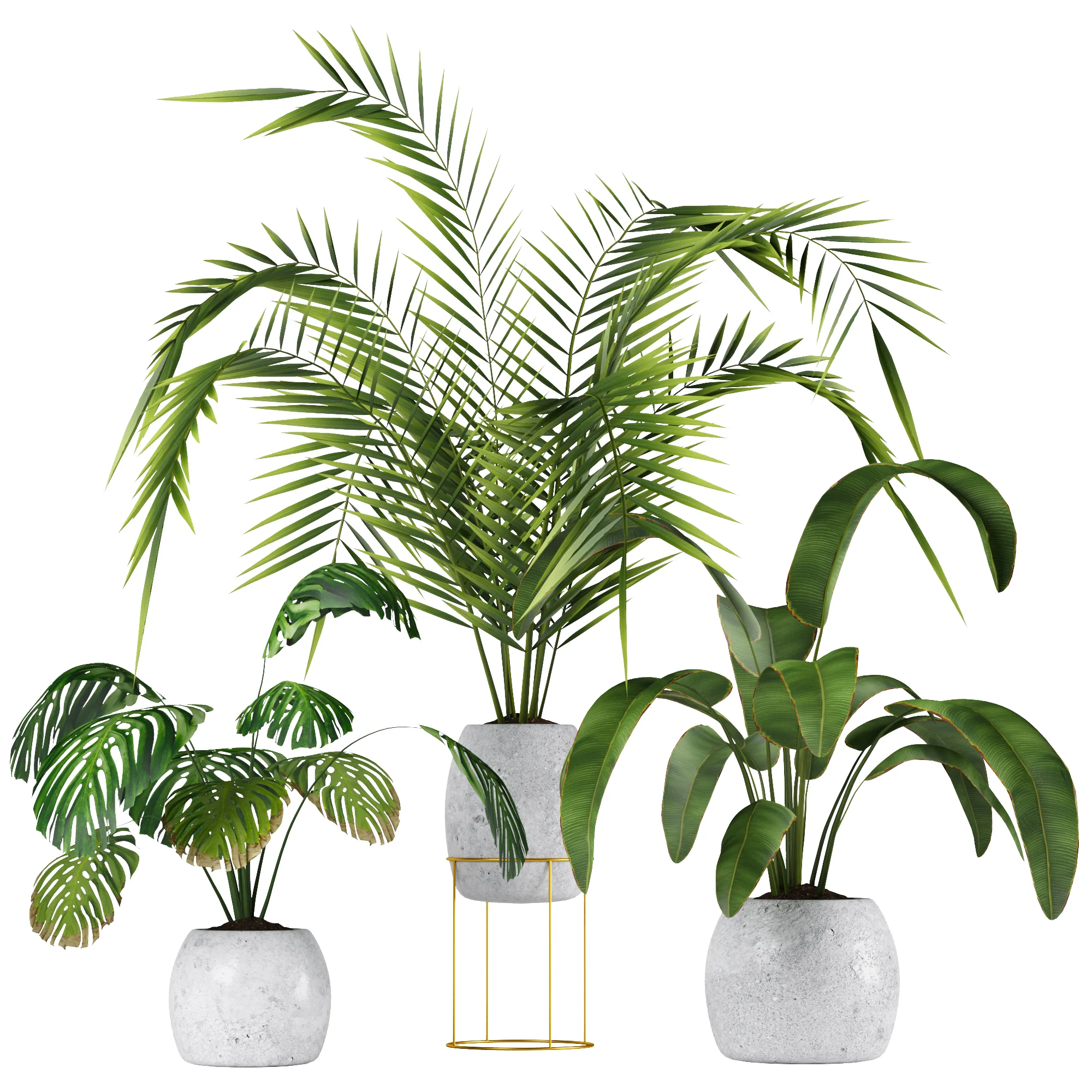 Plants Collection 1.1
