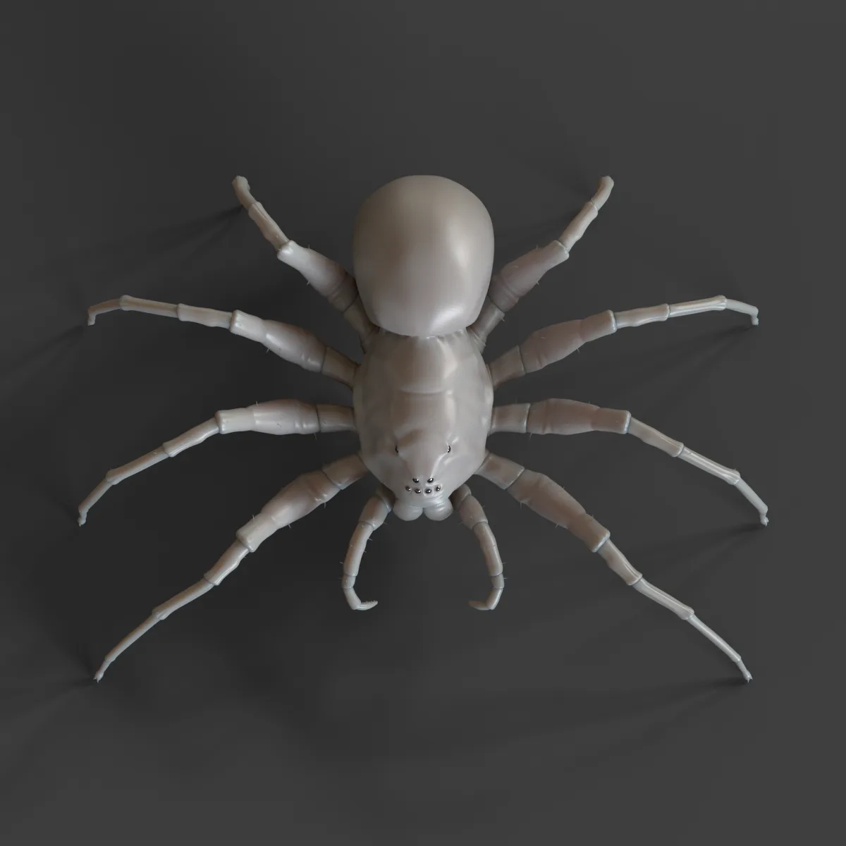 Spider 3D Model