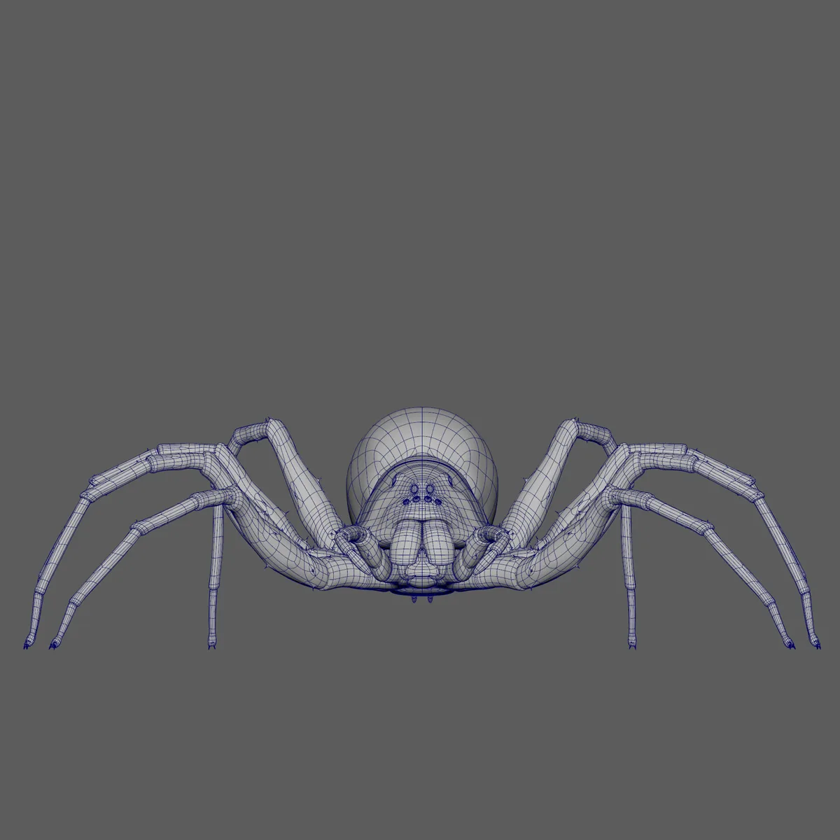 Spider 3D Model