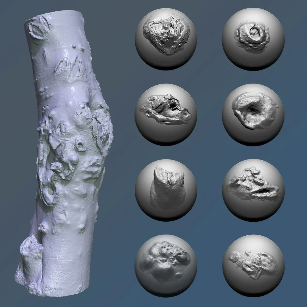 Zbrush - Trunk Detail Brushes Vol. 1