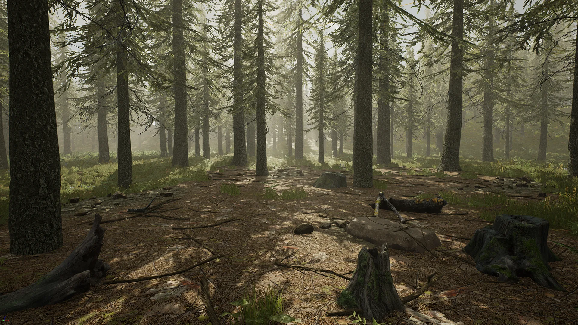 Spruce Forest (UE4)