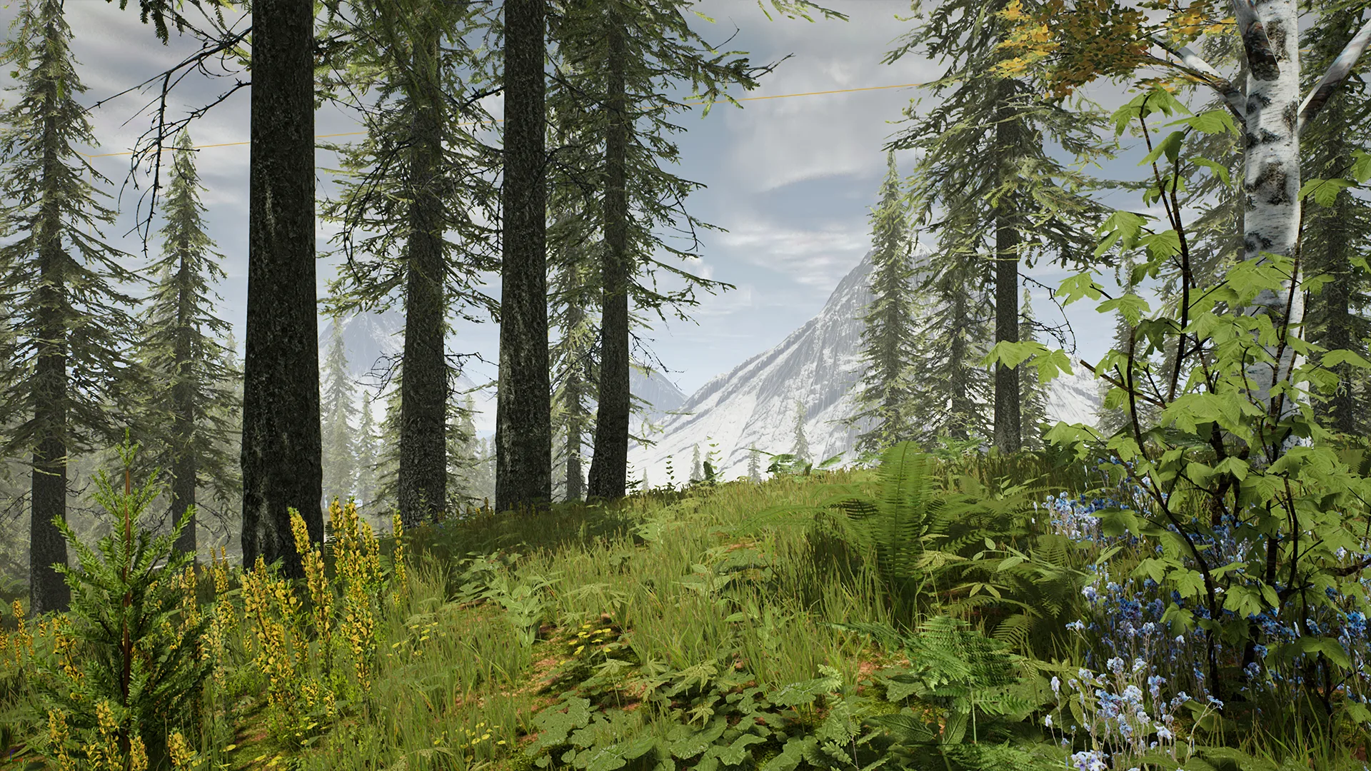 Spruce Forest (UE4)