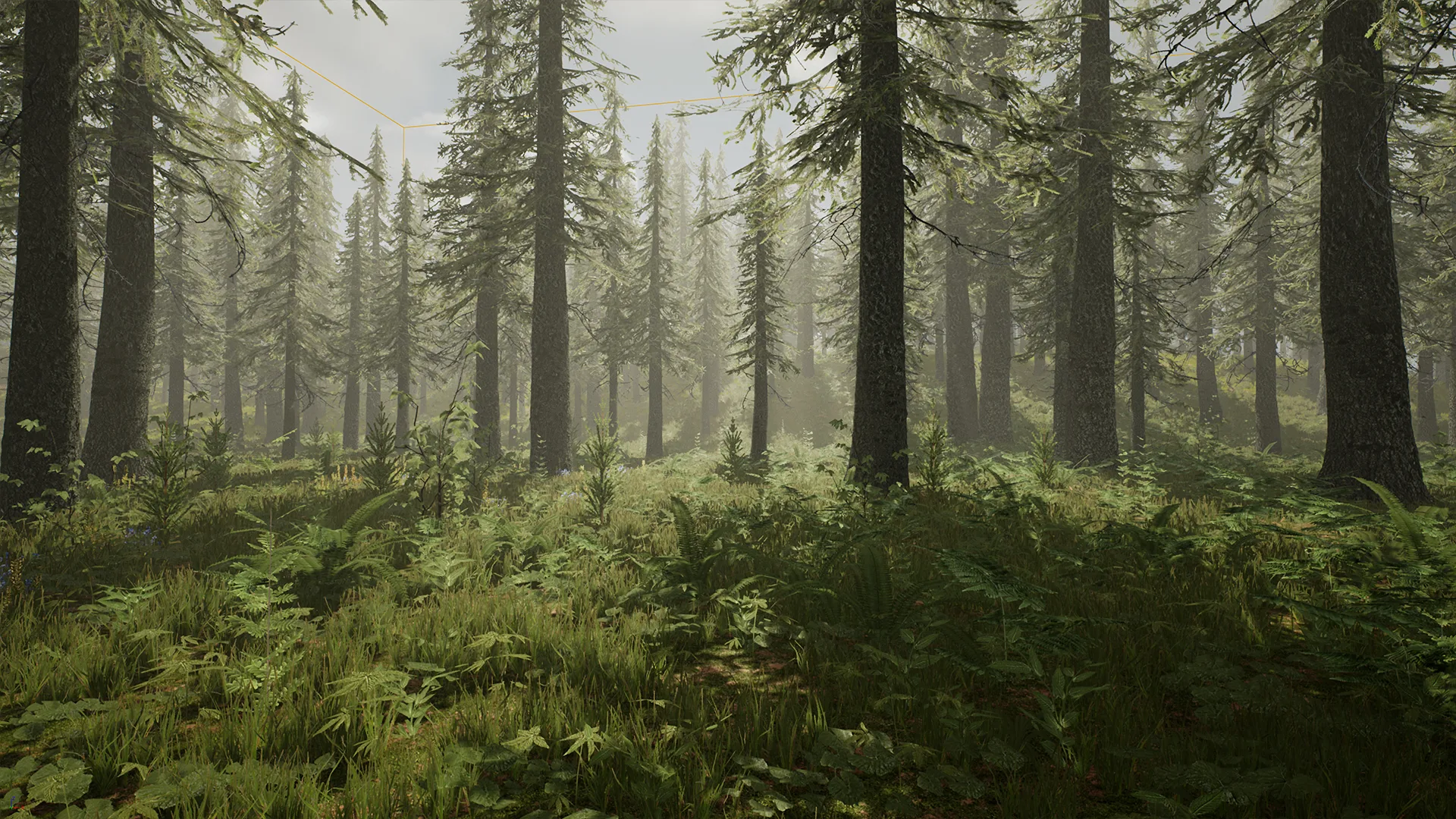 Spruce Forest (UE4)