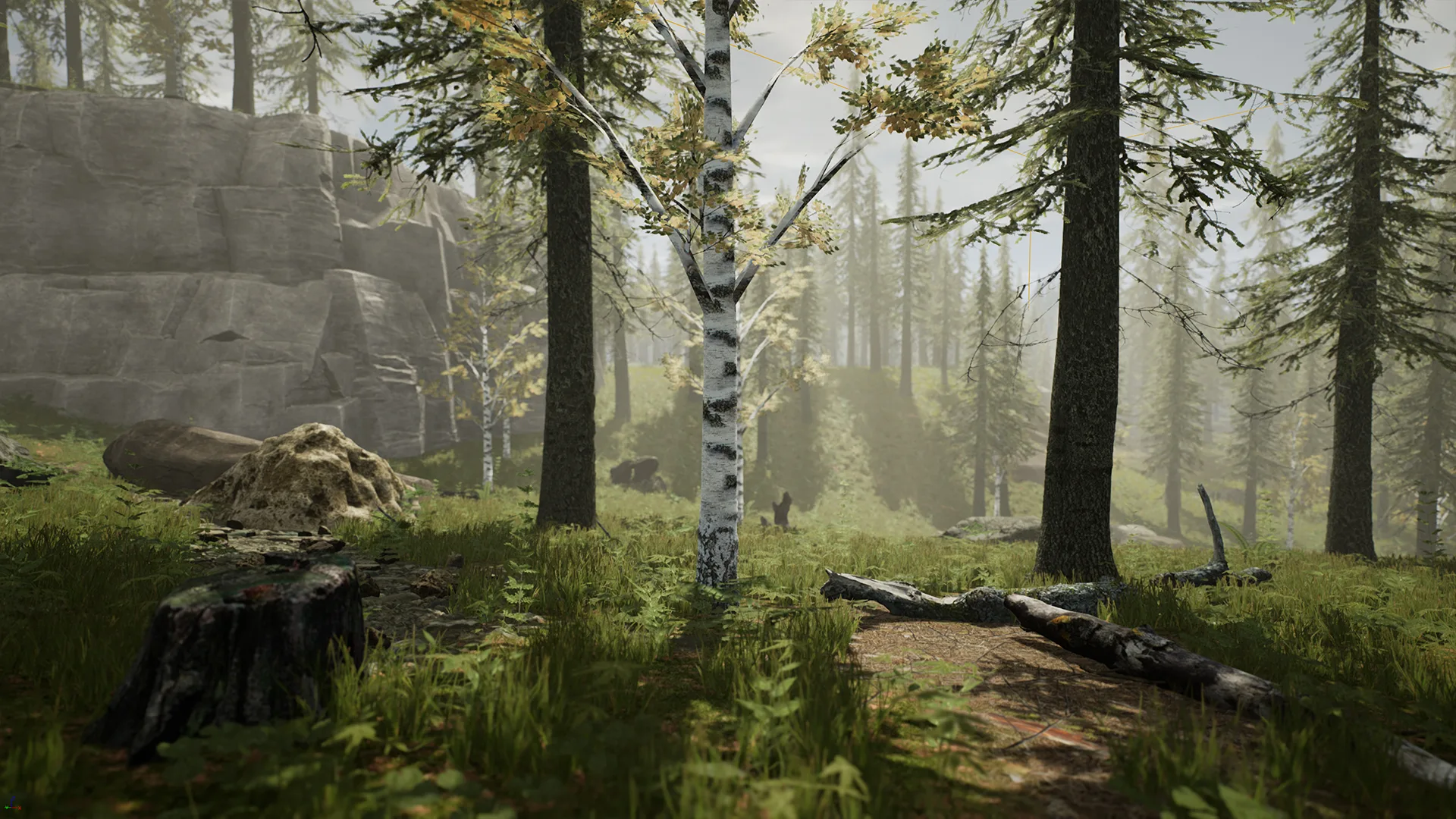 Spruce Forest (UE4)