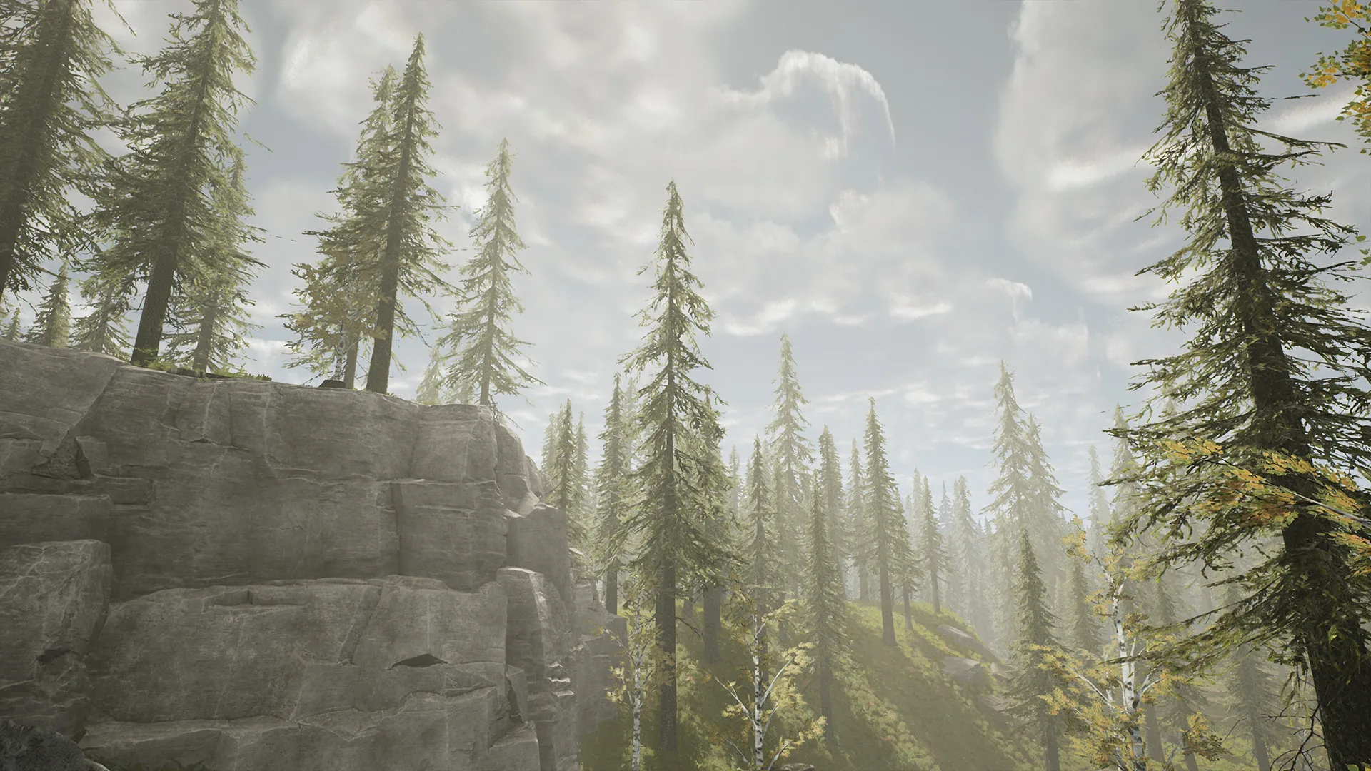 Spruce Forest (UE4)