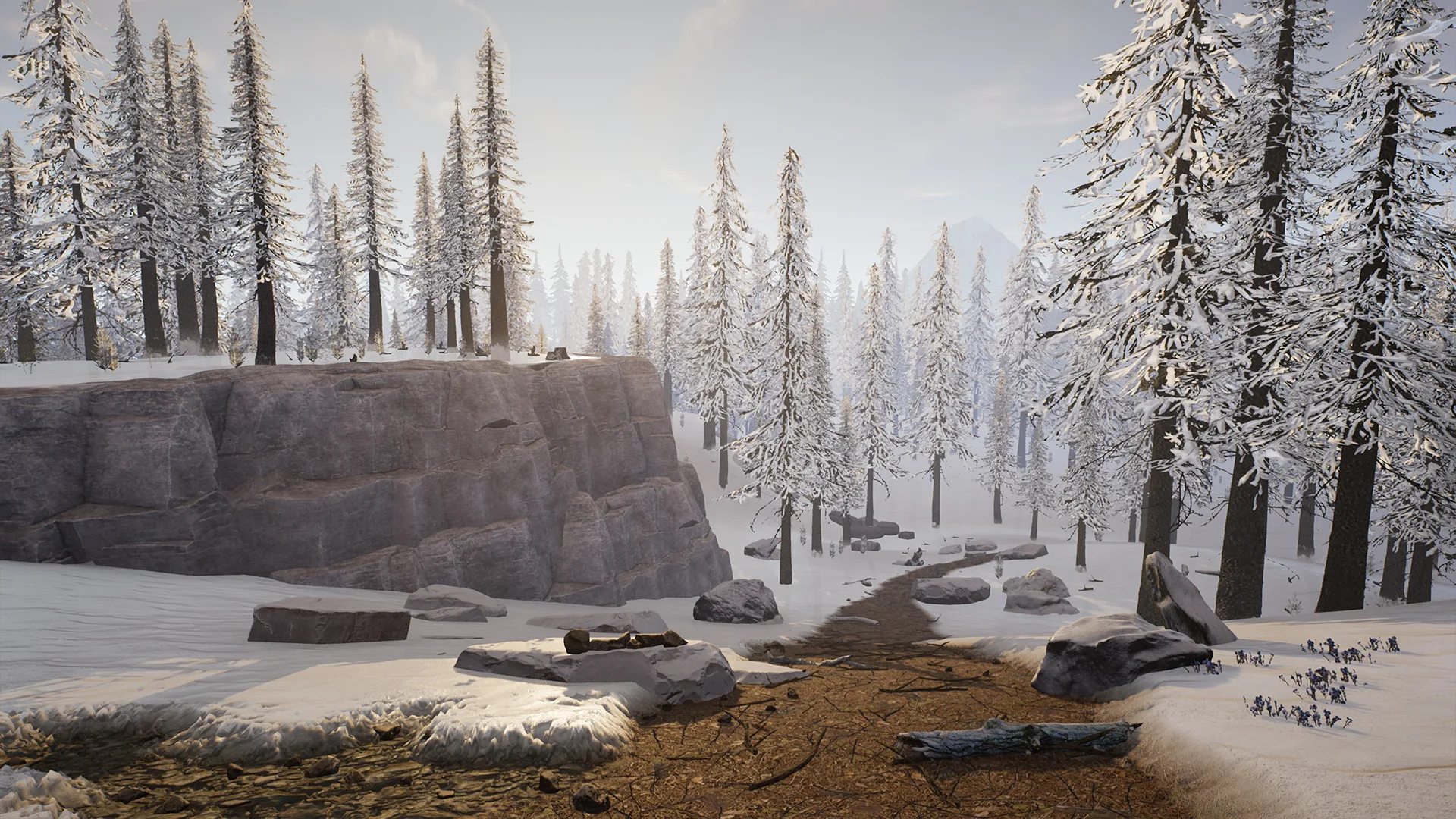 Spruce Forest (UE4)