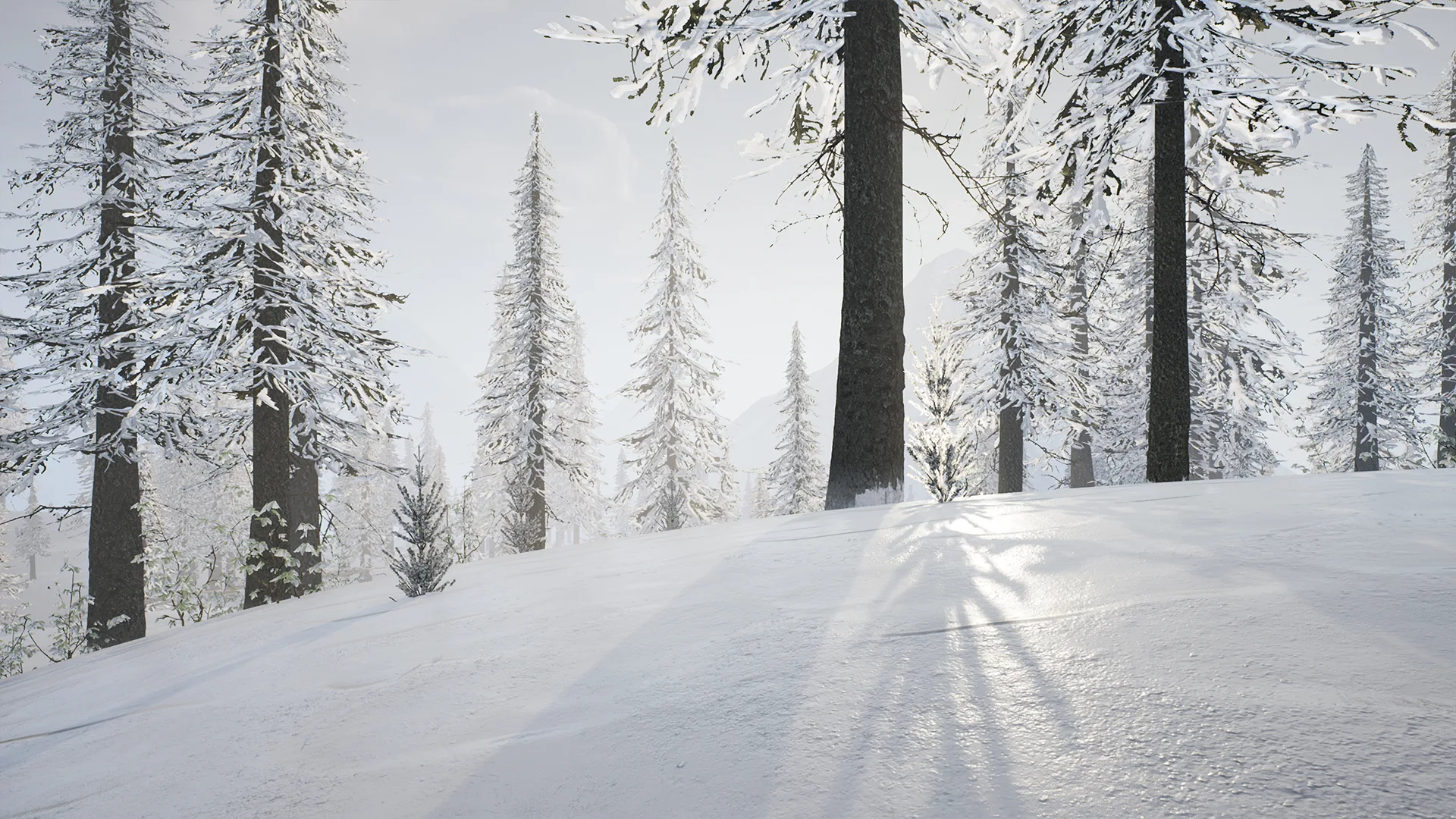 Spruce Forest (UE4)