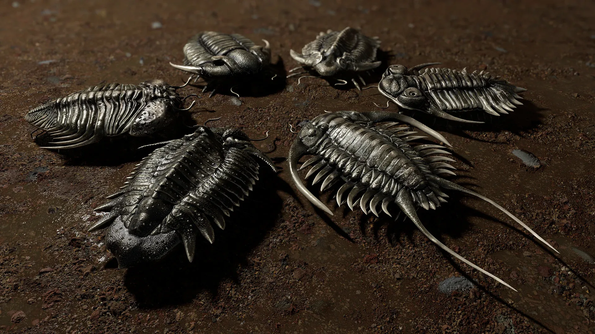 Trilobites Collection - Animated
