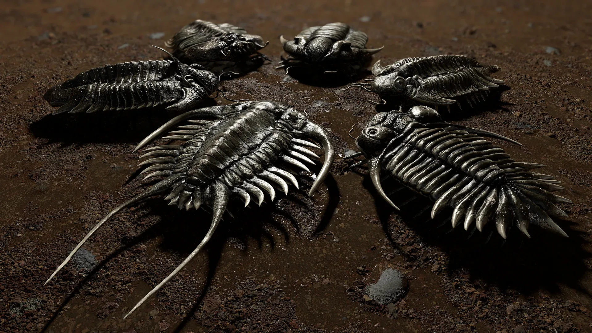 Trilobites Collection - Animated