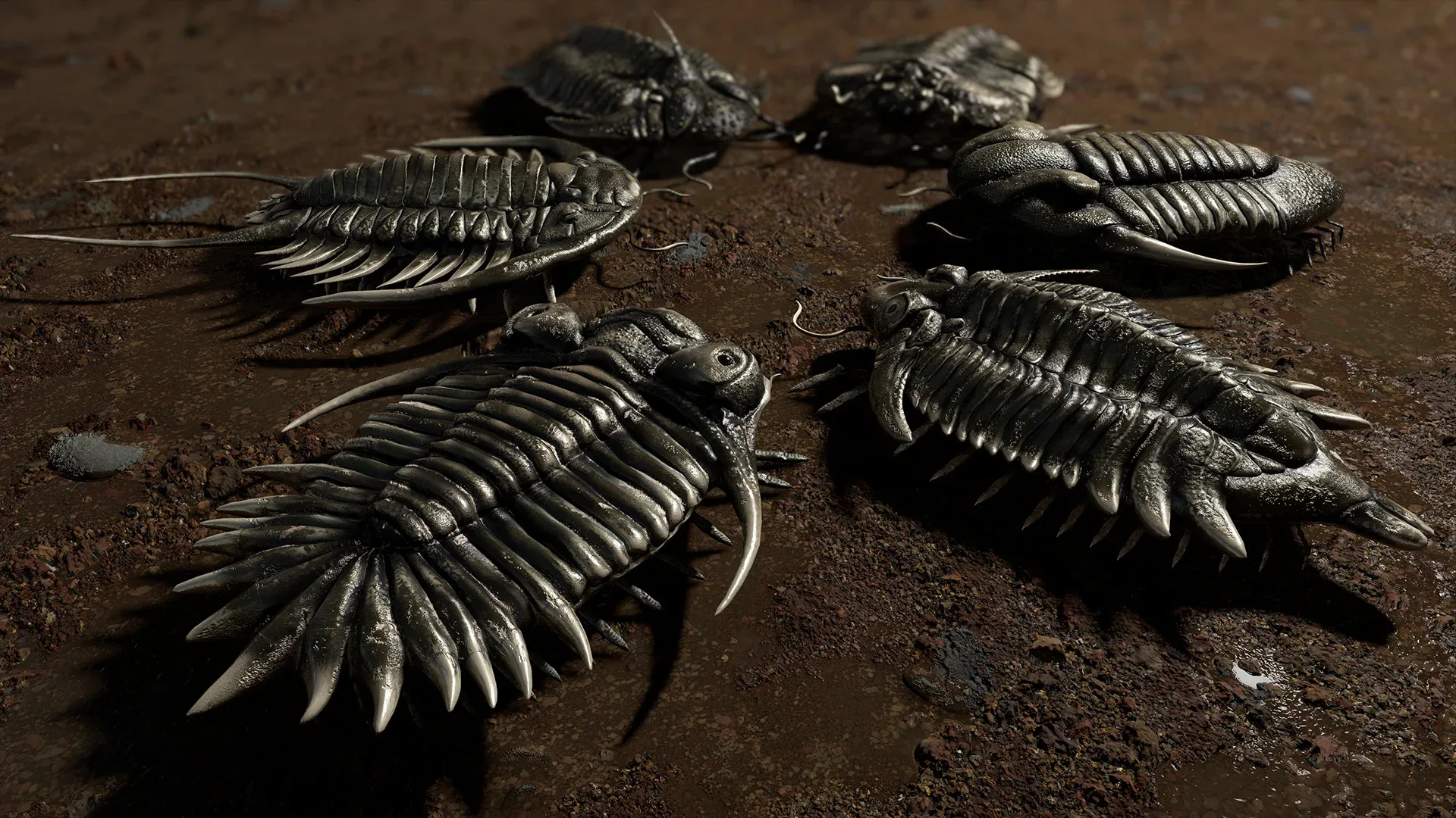 Trilobites Collection - Animated