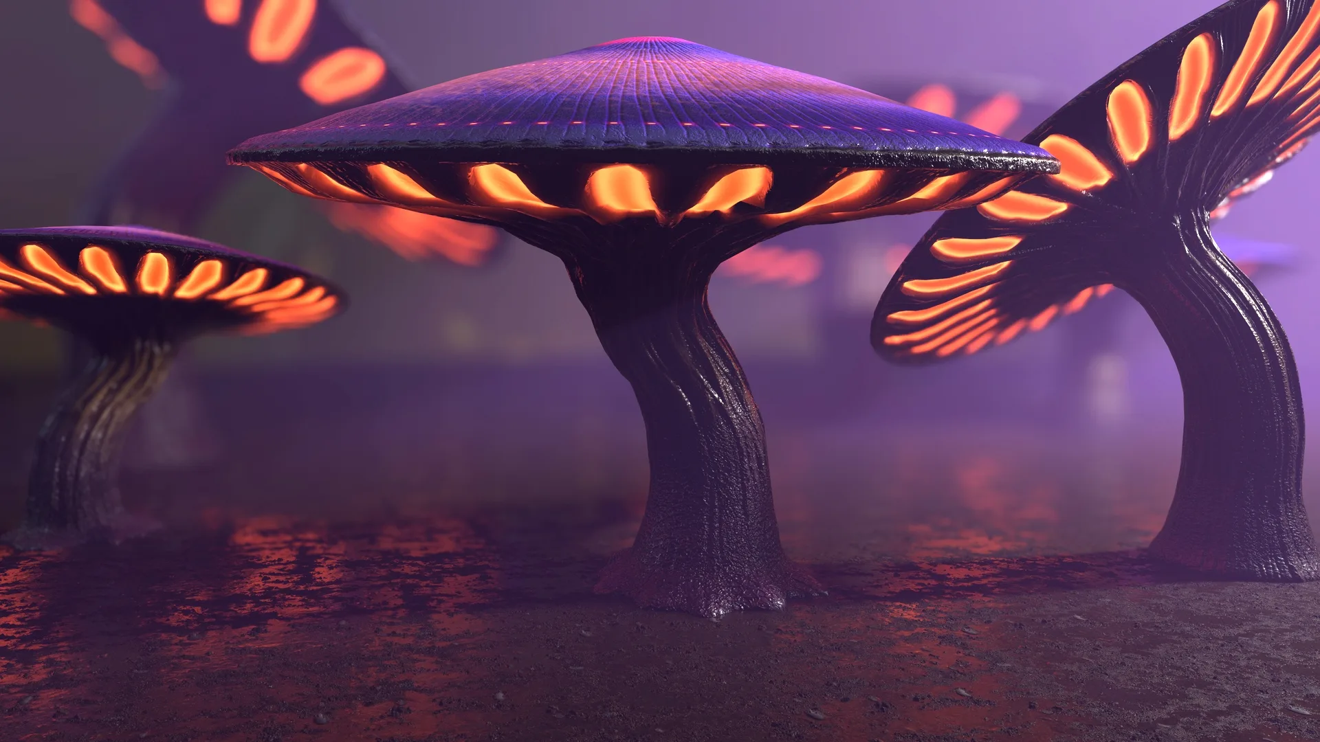 124 Fantasy Mushrooms Collection