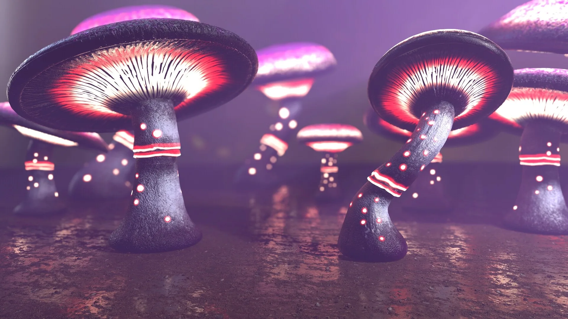 124 Fantasy Mushrooms Collection