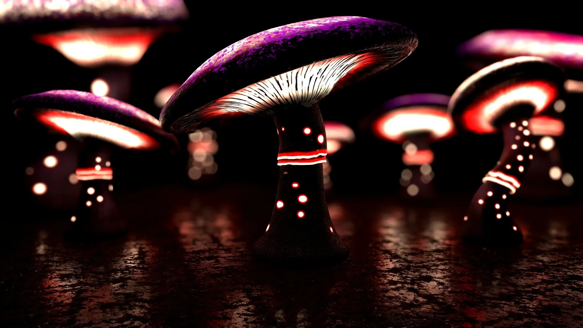 124 Fantasy Mushrooms Collection