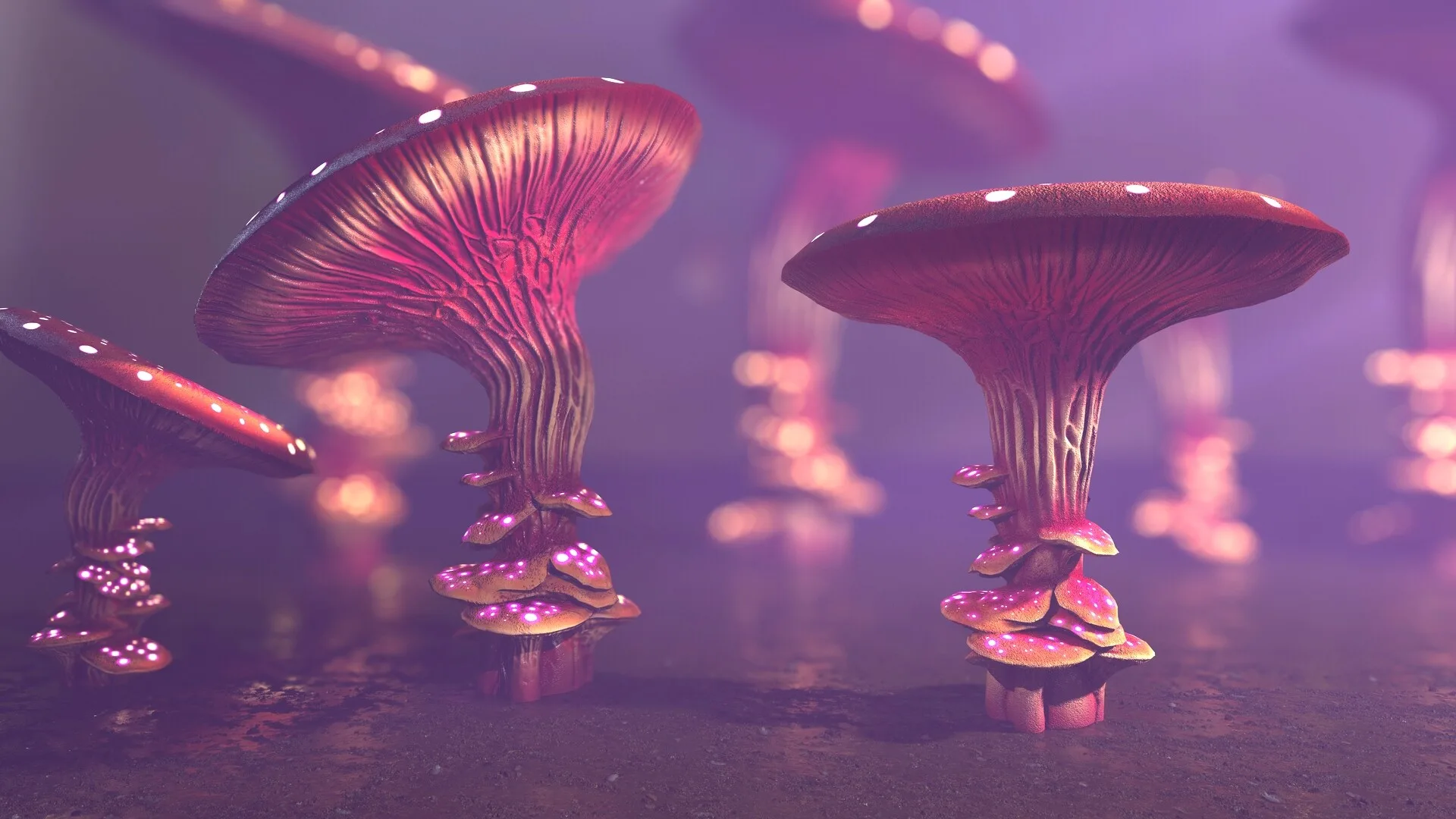 124 Fantasy Mushrooms Collection