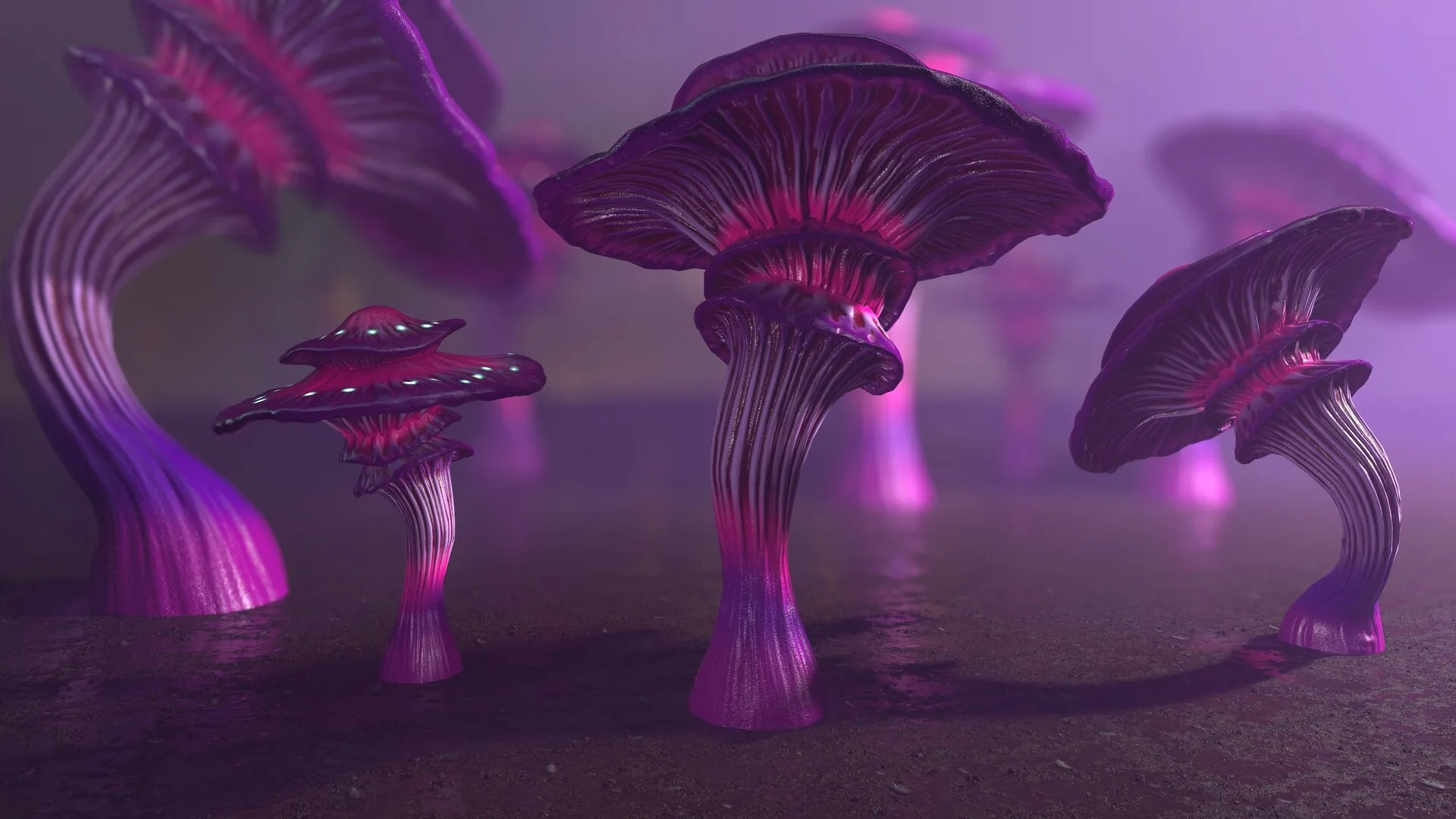 124 Fantasy Mushrooms Collection