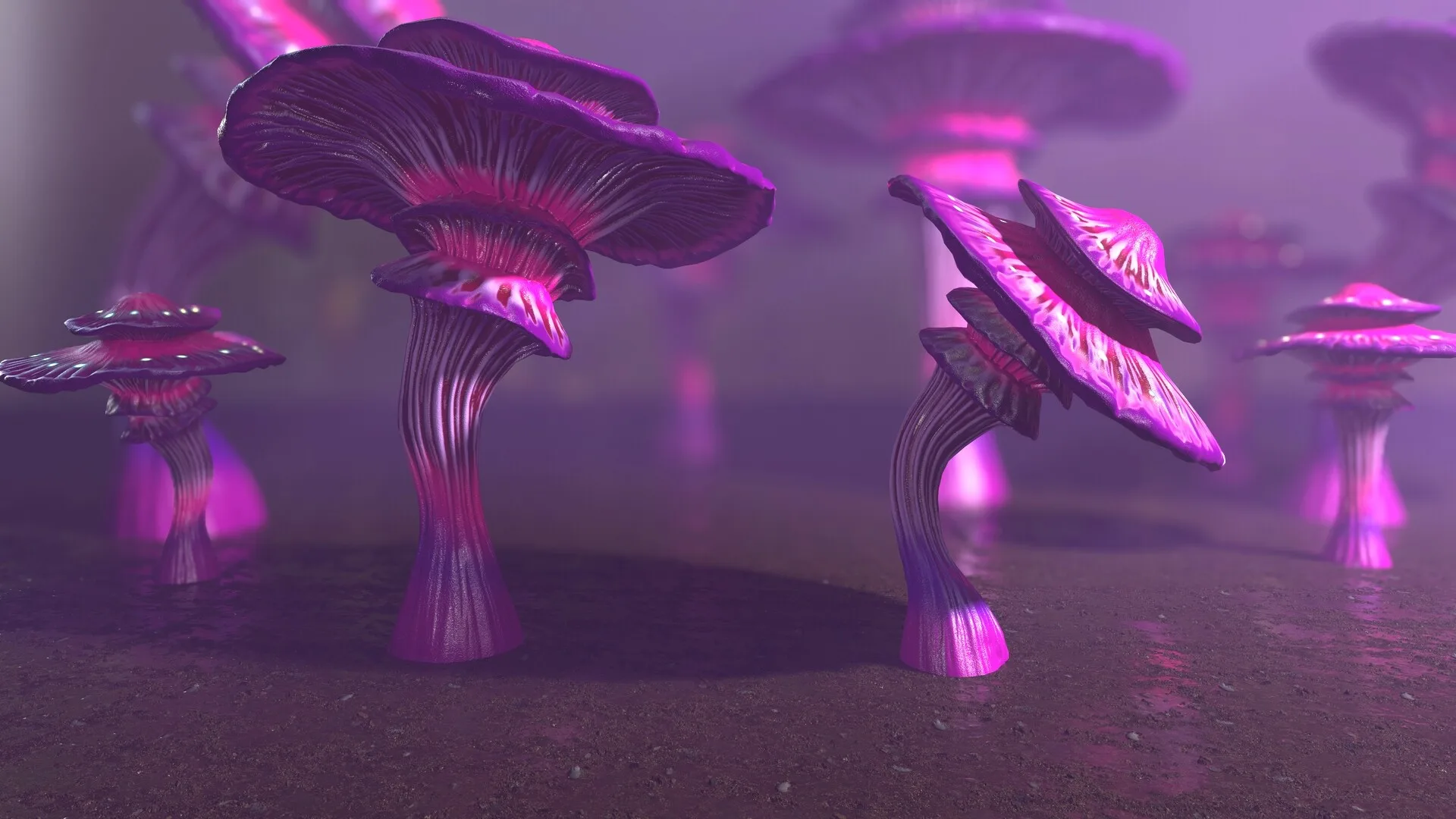 124 Fantasy Mushrooms Collection