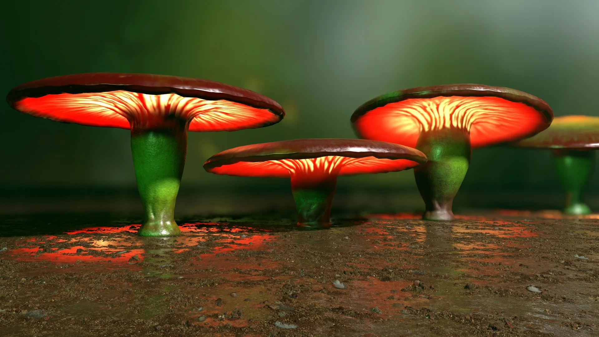 124 Fantasy Mushrooms Collection