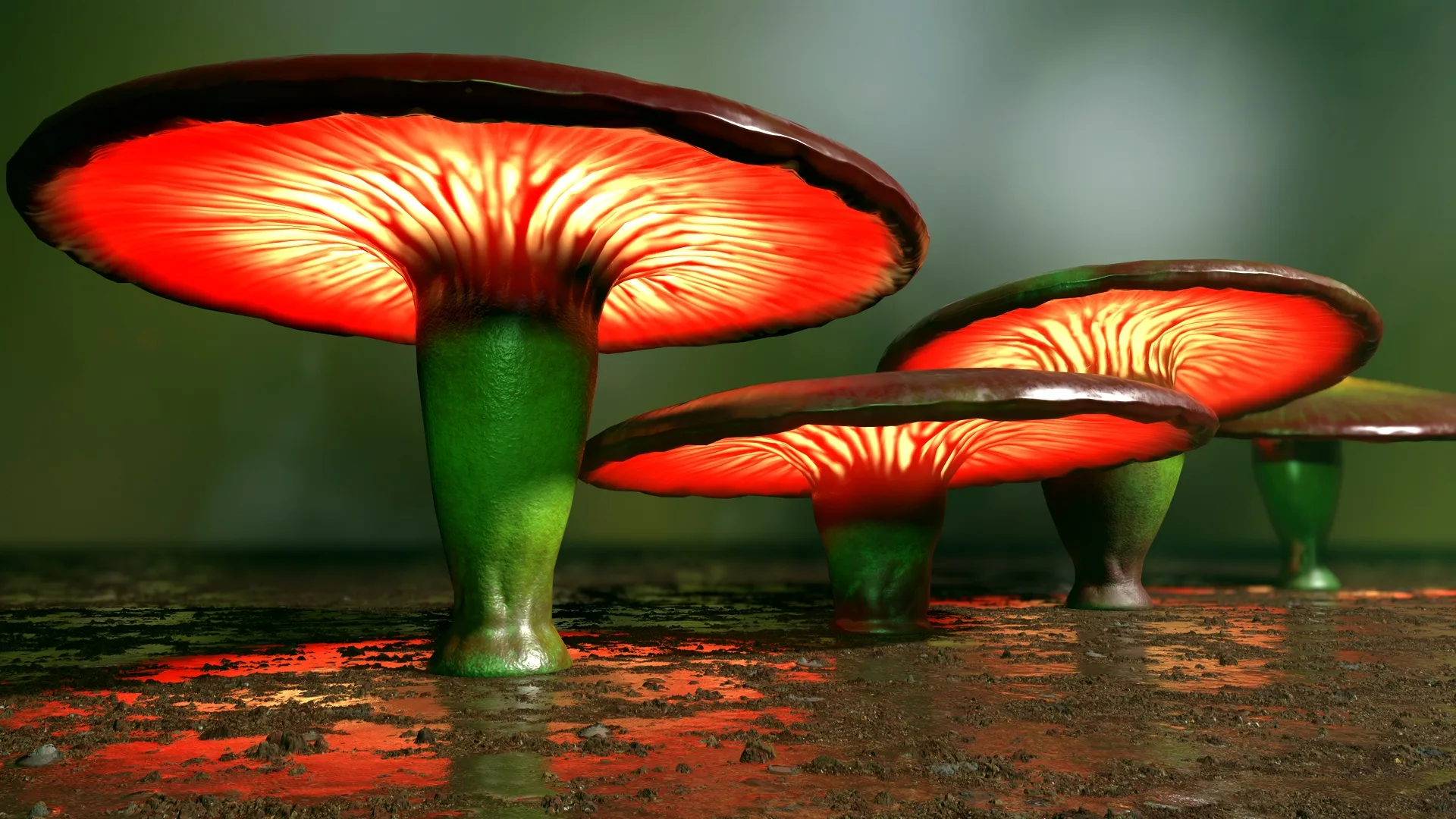 124 Fantasy Mushrooms Collection