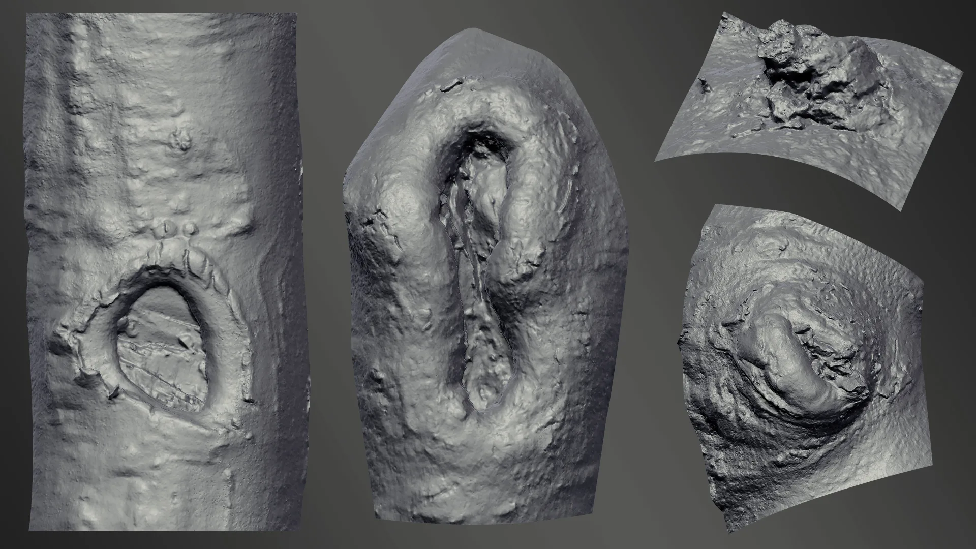 Zbrush - Trunk Detail Brushes vol. 2